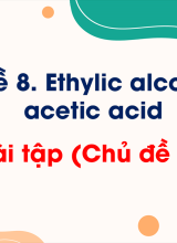Bài tập (Chủ đề 8)